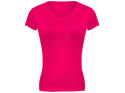 Ladies Classic V-Neck T-Shirt
