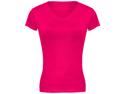Ladies Classic V-Neck T-Shirt