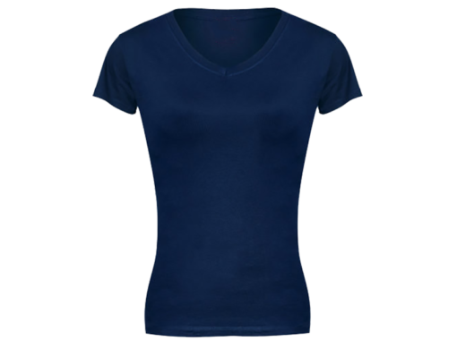 Ladies Classic V-Neck T-Shirt