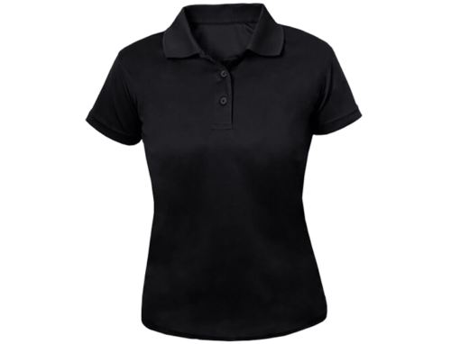Ladies Pro Golfer Golfer
