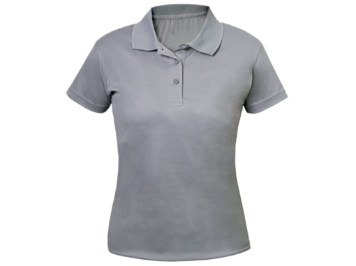 Ladies Pro Golfer Golfer