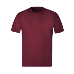 Pic-a-Tee Maroon Sports T-shirt