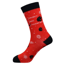 Naughty Nice Tried my Best Socks
