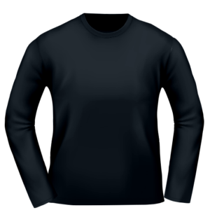 Ladies Premium Long Sleeved T-shirt