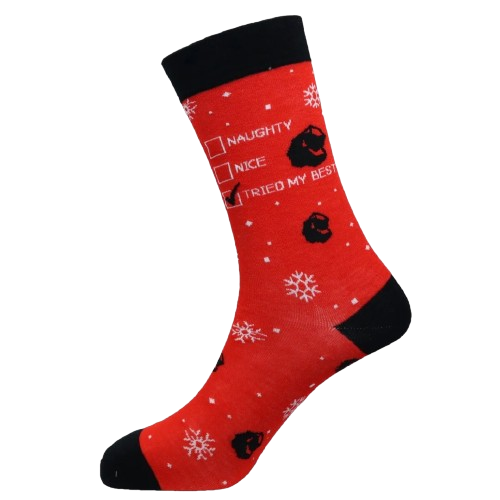 Naughty Nice Tried my Best Christmas Socks